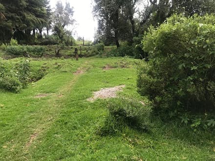 Terreno a la venta en Huizilac, Morelos - Imagen 5