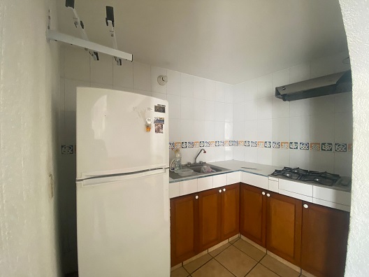 Renta Departamento amueblado en Chapultepec - Imagen 4