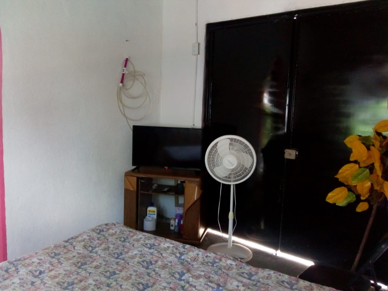 Terreno con albercas, Tetlama Morelos - Imagen 7