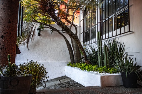 Casa con alberca en condominio - Cuernavaca - Imagen 4