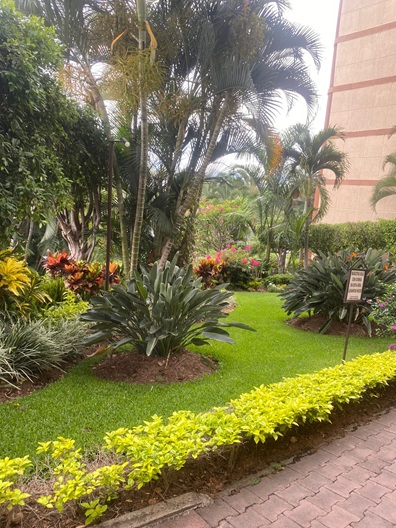 Departamento en planta baja con alberca - Cuernavaca - Imagen 12