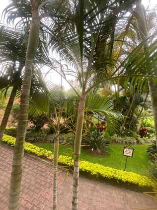 Departamento en planta baja con alberca - Cuernavaca - Imagen 11